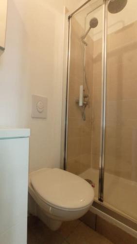 a bathroom with a toilet and a shower at Jardin du Ranelagh in Paris