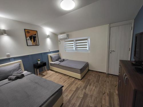 a bedroom with two beds and a television in it at Guesthouse Ožegović in Belgrade