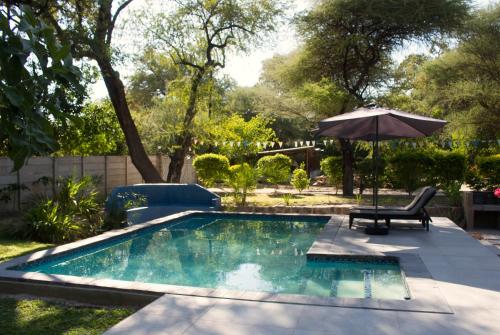 a swimming pool with a chair and an umbrella at Acacia Cottage in Maun