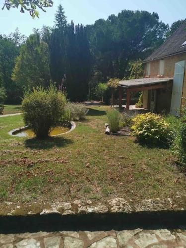 a yard with some bushes and a house at Gite de la Renardière in Paunat