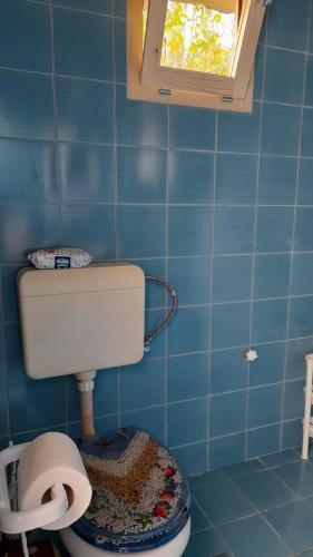 a blue tiled bathroom with a toilet and a window at Sonja's House of Sun, Bislim Gorge, Riverview & yard in Kumanovo