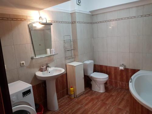 a bathroom with a sink and a toilet and a mirror at Kriopigi Apartments in Kriopigi