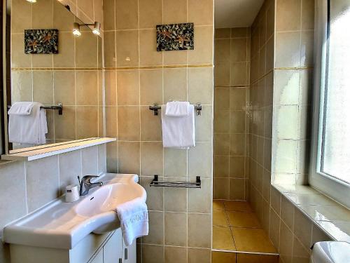 La salle de bains est pourvue d'un lavabo et d'une douche. dans l'établissement Atlantis Hôtel, à Mimizan