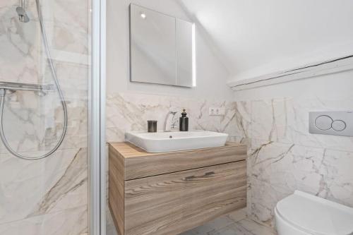 uma casa de banho com um lavatório, um WC e um chuveiro em Luxurious Roof Villa Apartment ID36 em Luxemburgo