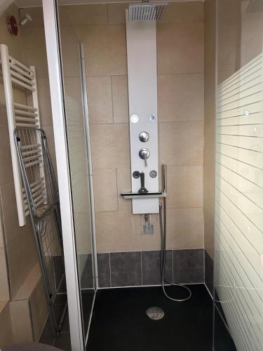 La salle de bains est pourvue d'une douche. dans l'établissement Studio face à la mer Villeneuve Loubet, à Villeneuve-Loubet