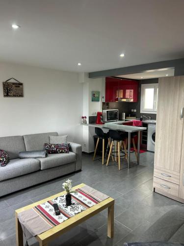 un salon avec un canapé et une table dans l'établissement Studio face à la mer Villeneuve Loubet, à Villeneuve-Loubet