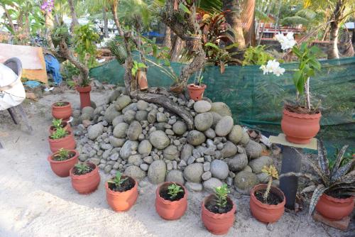 a group of potted plants in pots on the ground at Royal Beach Abode in Cochin