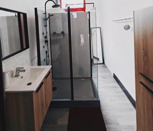 een badkamer met een douche en een wastafel bij Private industrial room in center of Charleroi in Charleroi