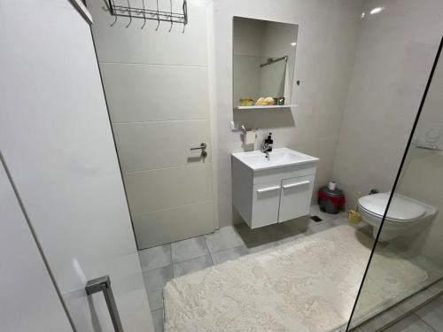 une salle de bains avec douche, toilettes et lavabo dans l'établissement J&D Apartment Prishtina - 1 double & 2 single beds, à Pristina