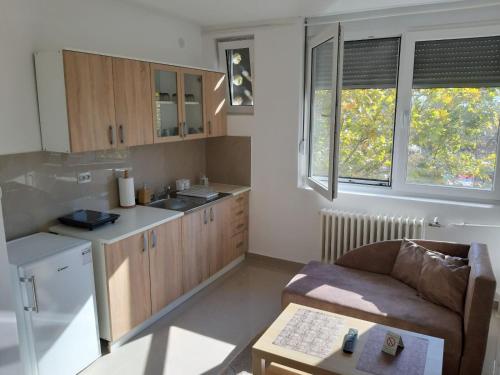 eine Küche mit einem Sofa und einem Tisch in einem Zimmer in der Unterkunft Apartman 4L in Kladovo