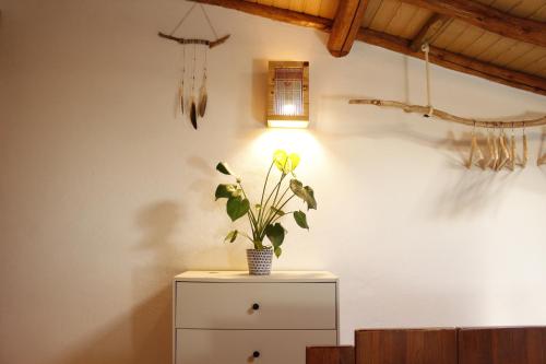 a plant in a vase on a cabinet in a room at Aldeia Caiçara Surf House in Sagres
