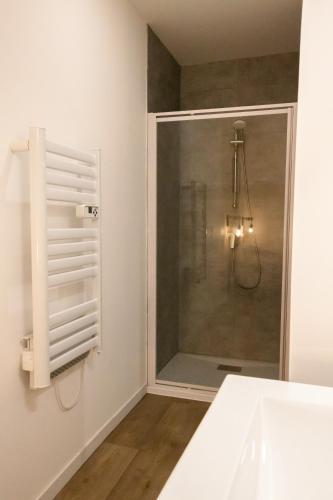 La salle de bains est pourvue d'une douche et d'une fenêtre en verre. dans l'établissement Appartement - Centre ville de Cambrai, à Cambrai