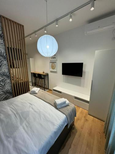 1 dormitorio con 1 cama y TV de pantalla plana en Talia Apartments, en Belgrado
