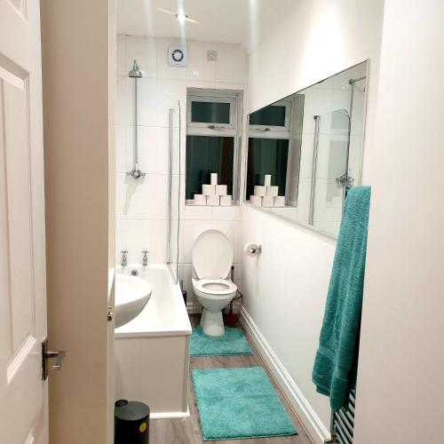bagno bianco con servizi igienici e lavandino di Carter House a Bradshaw