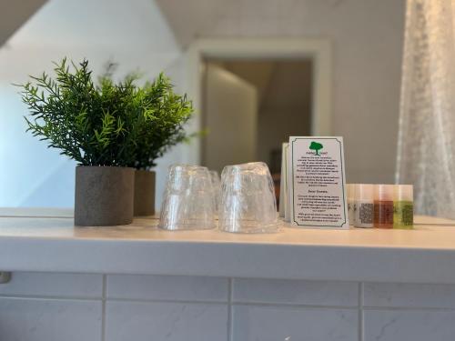 a shelf with glasses and a potted plant on it at Hotel Pelikan in Kitzingen