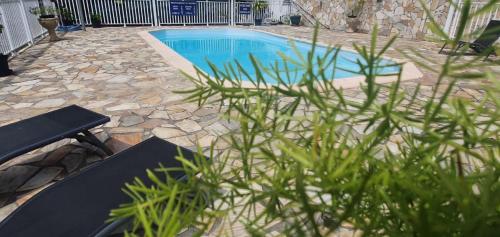 una piscina en un patio con una planta en Le KREOL'GITES, en Capesterre-Belle-Eau