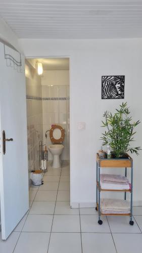 bagno con servizi igienici e tavolo con pianta di Rosekayen a Capesterre-Belle-Eau