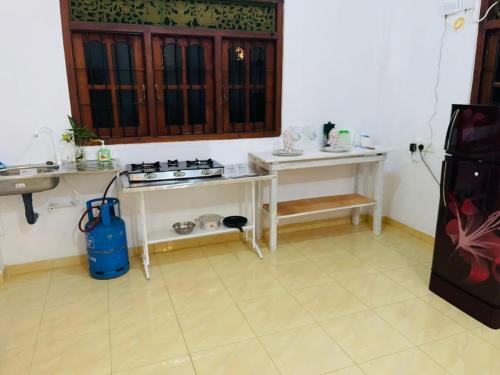 a kitchen with a stove and a sink in a room at Shiv's Villa in Galle