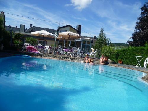 Bazén v ubytování Pension-Elfi nebo v jeho okolí