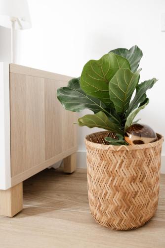 a plant in a wicker basket sitting on the floor at La Cochera Casa Emblemática en Santa Cruz de Tenerife in Santa Cruz de Tenerife