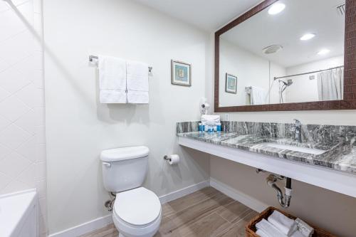 德斯坦Luau I 7105 Studio的一间带卫生间、水槽和镜子的浴室