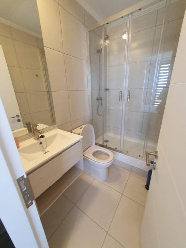a bathroom with a shower and a toilet and a sink at Studio Chillan Centro in Chillán