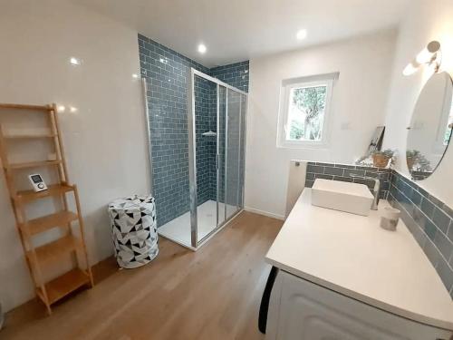 ein Bad mit einem Waschbecken und einer Glasdusche in der Unterkunft La Sauldre, maison au cœur de la Sologne in Lamotte-Beuvron