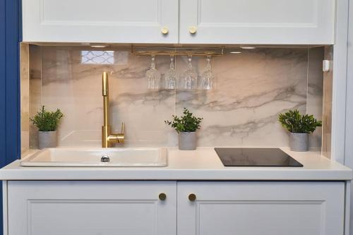 un comptoir de cuisine avec un évier et deux plantes en pot dans l'établissement Duguesclin Baroque / appartement de charme, à Lyon