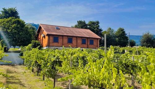 a wooden cabin in the middle of a vineyard at Quinta Alvaredo in Melgaço