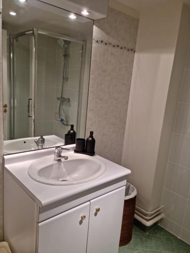 uma casa de banho com um lavatório branco e um espelho. em Issy-les-Moulineaux : Studio rénové em Issy-les-Moulineaux