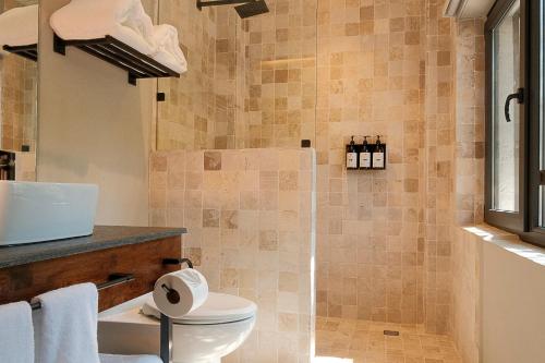 a bathroom with a toilet and a shower at Casa Serenos in Mexico City