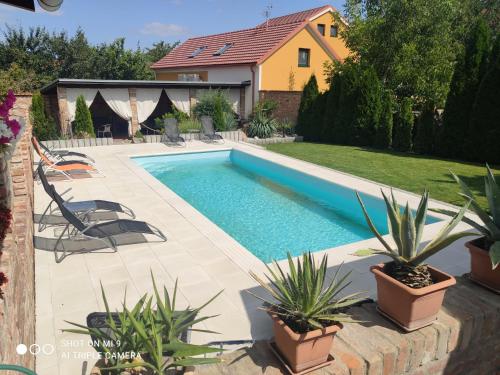 a swimming pool with plants in a yard at Apartmány u Parku in Lednice