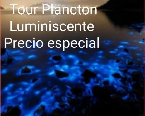 uma capa de livro de quatro excreções por sondagem de luminárias em Canadian House Rincón del Mar em Rincón