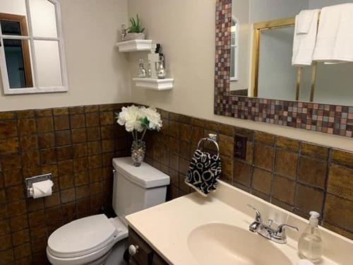 W łazience znajduje się toaleta, umywalka i lustro. w obiekcie DELIGHTFUL Patio Apartment 9' with Antique Pool Table in SOUTH KC w mieście Kansas City