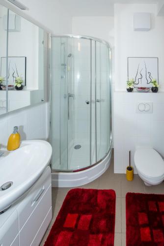 a bathroom with a shower and a toilet and a sink at Lipi Apartment in Vienna