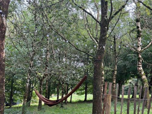 a hammock tied to a tree in a park at Cornwall Woodland Dog Friendly Shepherd's Hut in Bodmin