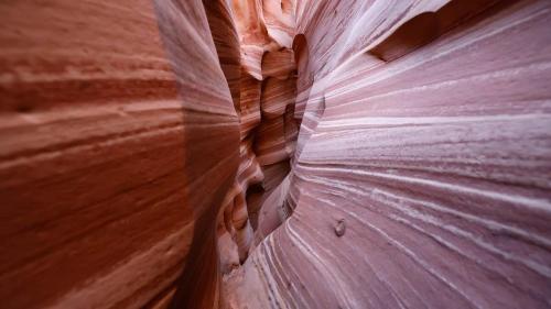 a narrow slot canyon in the middle of a canyon at Escalante Escapes Fox Tail- Loft Escape in Escalante