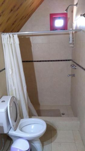 a bathroom with a toilet and a shower at La Trunca Cabaña in Chascomús