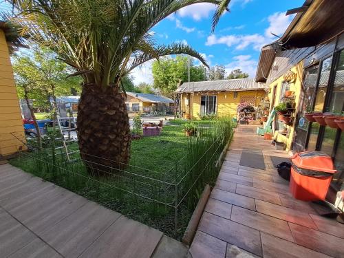 a palm tree in a yard next to a house at HOSTAL EL AROMO pensión a empresas in Chillán