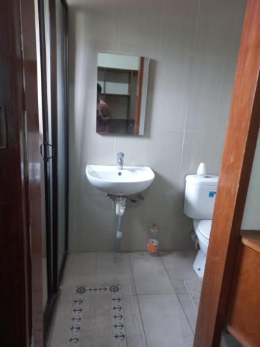 La salle de bains est pourvue d'un lavabo et de toilettes. dans l'établissement LAMI 5A APARTMENT OCEAN PEARL, à Lami