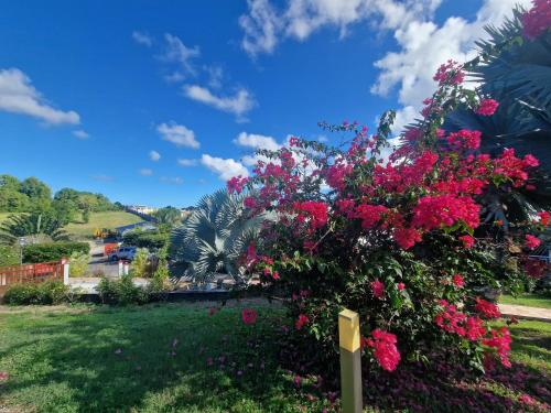 a bush with pink flowers in a park at Les Villas de Boisvin in Le Moule