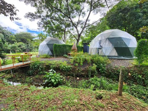 two tents in a garden with a table and a bridge at Cabaña del Lago in Cuatro Esquinas