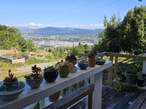 a bunch of potted plants sitting on a wooden table at Aorangi Peak Cottage in Rotorua