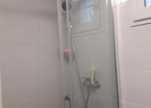 La salle de bains est pourvue d'une douche et d'une porte avec un tuyau. dans l'établissement Citea Access 10 minutes La Defense - 20 minutes Paris Parc Expo, à Saint-Cloud