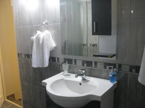 Bilik mandi di Apartments Izvor Lisine