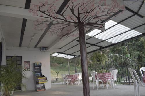 a tree in the middle of a patio with tables and chairs at Mirador La Gloria in Misiones