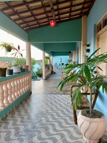 a lobby with a plant in a large pot at Pousada do Tom in Lençóis