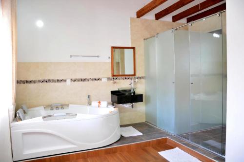 a bathroom with a tub and a glass shower at Hotel Gran Sirius in Sáchica