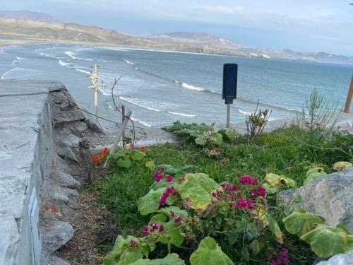 un jardín con flores junto al océano en Serenity Inn Los Chimus, en Tortuga