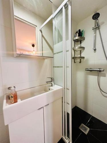 uma casa de banho branca com um lavatório e um chuveiro em Au centre de paris Saint-michel/St germain despres em Paris